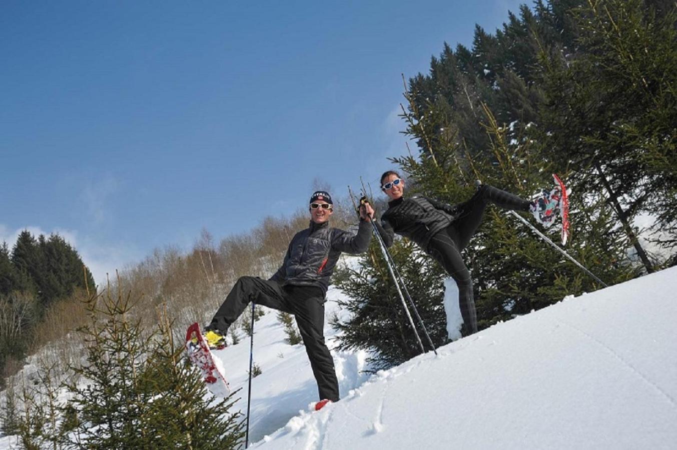 Hotel Les Triolets Chatel Room photo